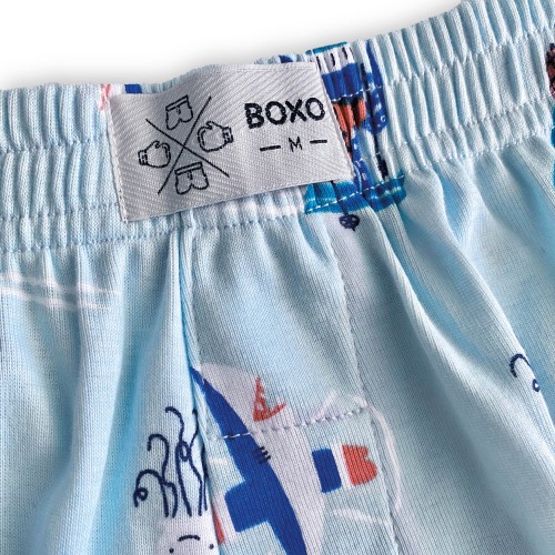 Light Blue Playful Whale Animal Boxer