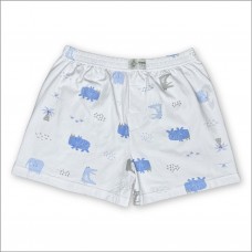 White Wild Mammals Animal Boxer